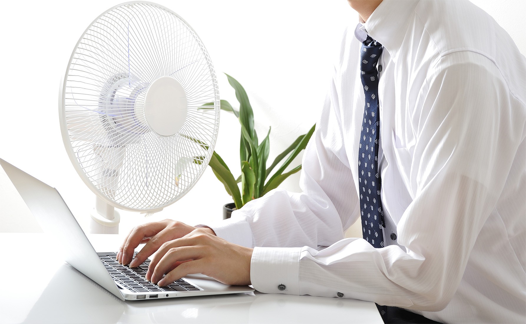 Foto_post_medidas_contra_calor